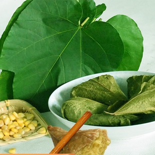 四川桐子叶苞谷粑粑嫩玉米巴巴包谷馍馍三角粑浆粑新鲜桐子树叶子