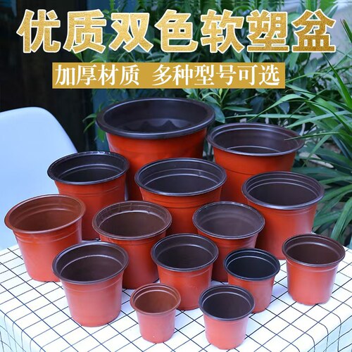 育苗盆馨茗轩一次性双色盆营养钵