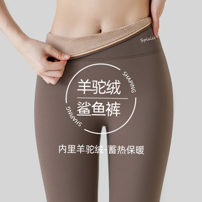 鲨鱼裤女外穿2025新款春秋冬季加绒加厚修身打底保暖棉裤瑜伽冬天