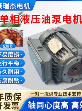 液压电机 单相220V台款0.75/1.5/2.2KW VP20油泵专用 内轴电动机