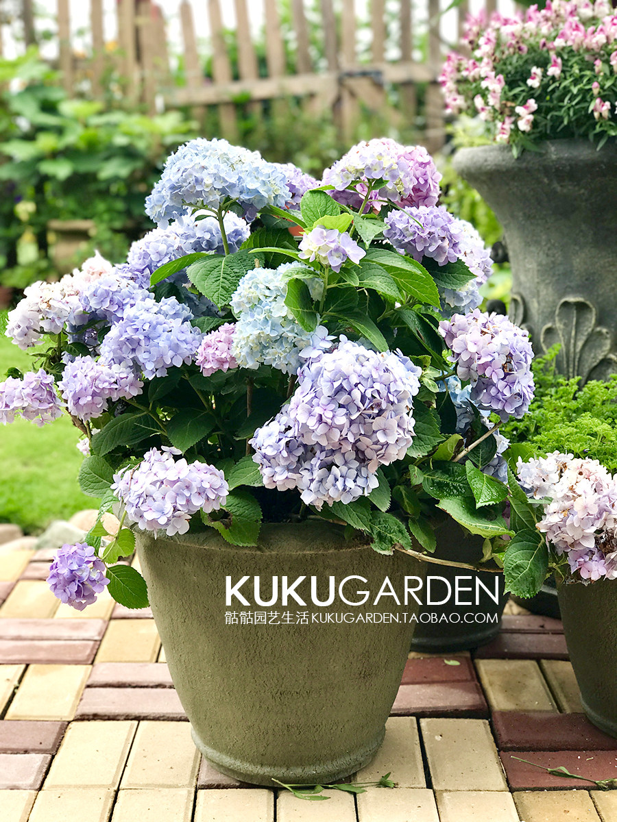 欧式做旧复古树脂玻璃钢别墅花园罗马大码套盆绿植大绣球大花盆