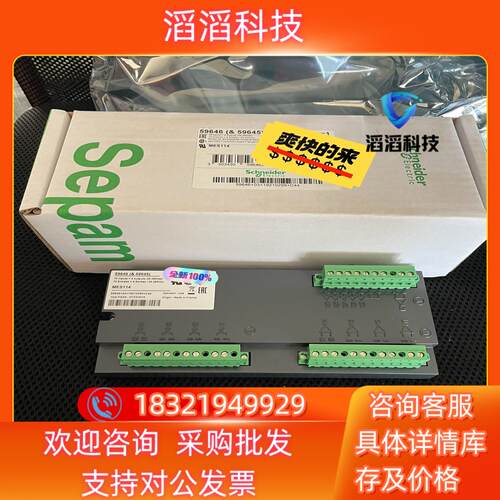 现货 59646&59645MES114  Sepam