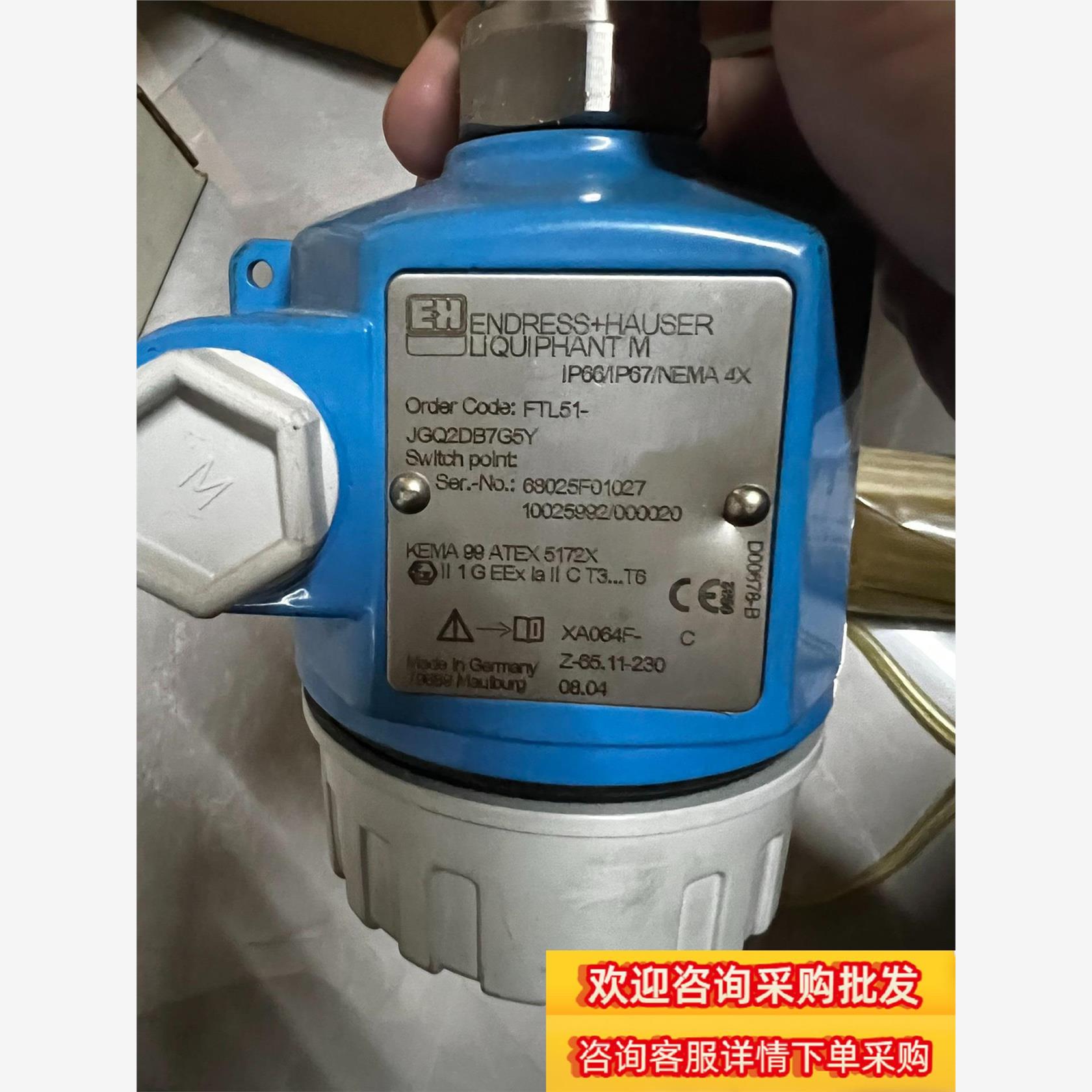 E+H 恩德豪斯  音叉液位开关 FTL51 jgq2db7现货议价