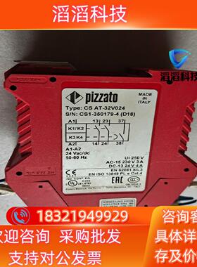 现货CS AT-32V024PIZZAT0原装安全继电器成