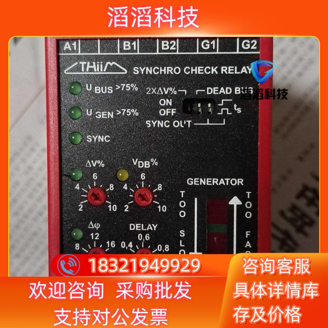 现货丹麦THIIM继电器 SYND 2202 B230 AA5C