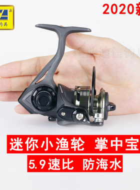 迪佳CT800 超小型迷你渔轮掌中宝纺车轮鱼线轮马口矶钓筏钓轮正品