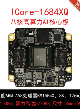 iCore-1684XQ八核高算力AI核心板32T算力BM1684X 开放SDK SOPHON