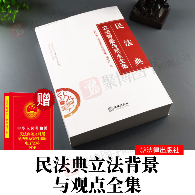 2020新书 【民法典】民法典立法背景与观点全集 全国两会修订民法典