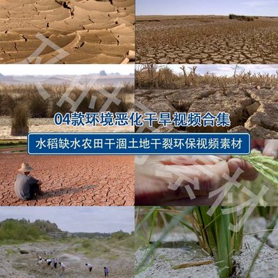 A053环境恶化土地农民枯萎水稻缺水农田干涸环保视频素材