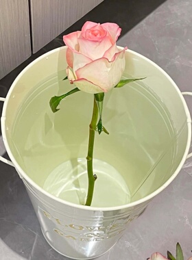 落地大花瓶醒花桶白色铁艺手提花桶圆形双耳花器家居装饰插花器皿