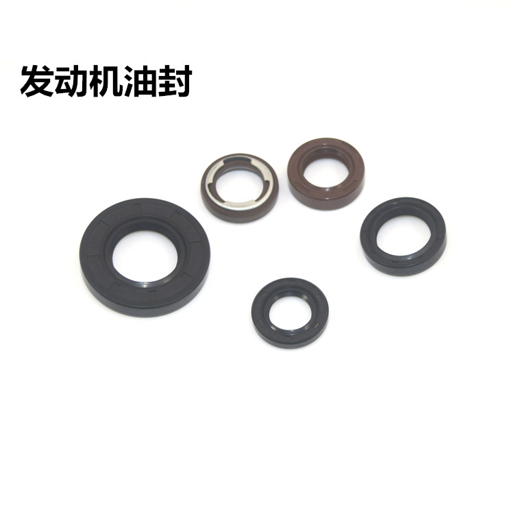 适配雅马哈100踏板车发动机油封福喜巧格 丽鹰100 RSZ鬼火100油封