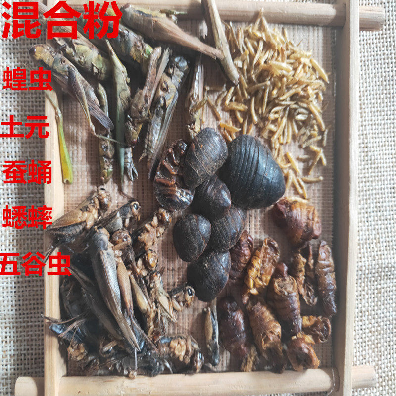 中药材混合粉，蝗虫，蟋蟀，土元，蚕蛹，五谷虫鸟食500克包邮