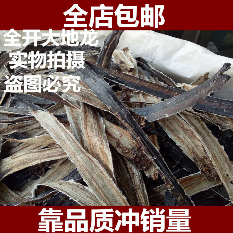 地龙 中药材广地龙全开地龙片 250g 包邮 全开无土正品包化验新货