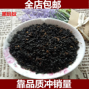 中药材黑蚂蚁 干蚂蚁 高蚁酸 无杂质 小蚂蚁 500克65元正品质量