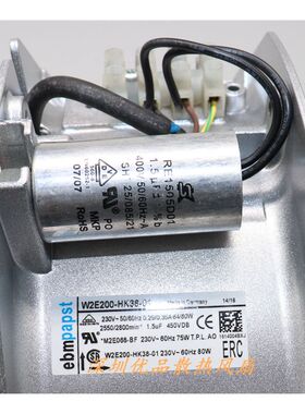 W2E200-HK/HH38-01/07/06/22/13/03/C01德国ebmpapst 230V 风扇