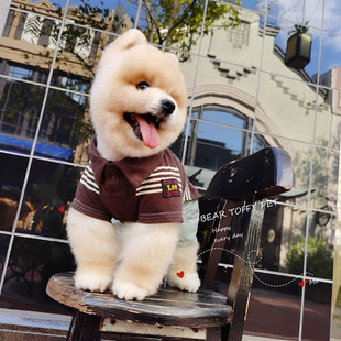BeartoffyPet日单宠物衣服猫狗潮酷时尚 大型犬 polo汗衫 T恤柔软