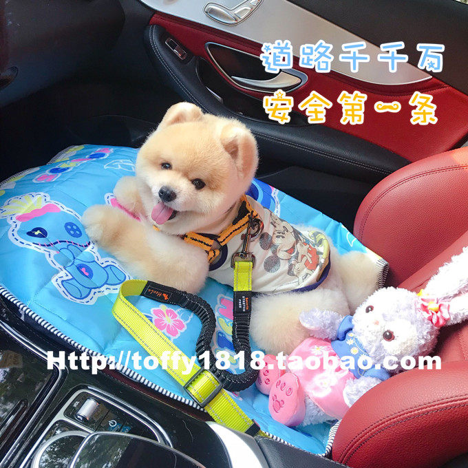 Beartoffypet宠物猫狗汽车安全带固定牵引带车载安全绳可调节伸缩