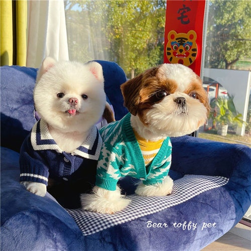 BeartoffyPet日单宠物衣服猫狗针织开衫 百搭海军毛衣纽扣长袖潮
