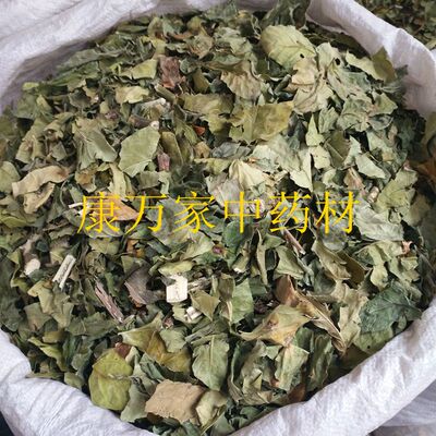 大驳骨大驳骨丹野生接骨木中药材