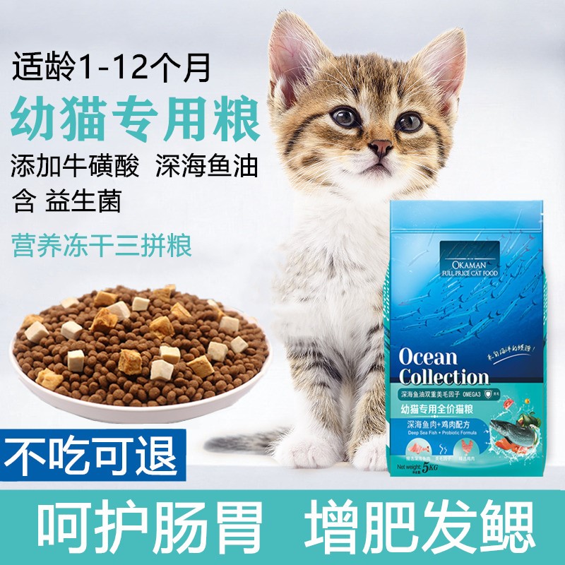 一个月幼猫粮两个月小猫猫粮