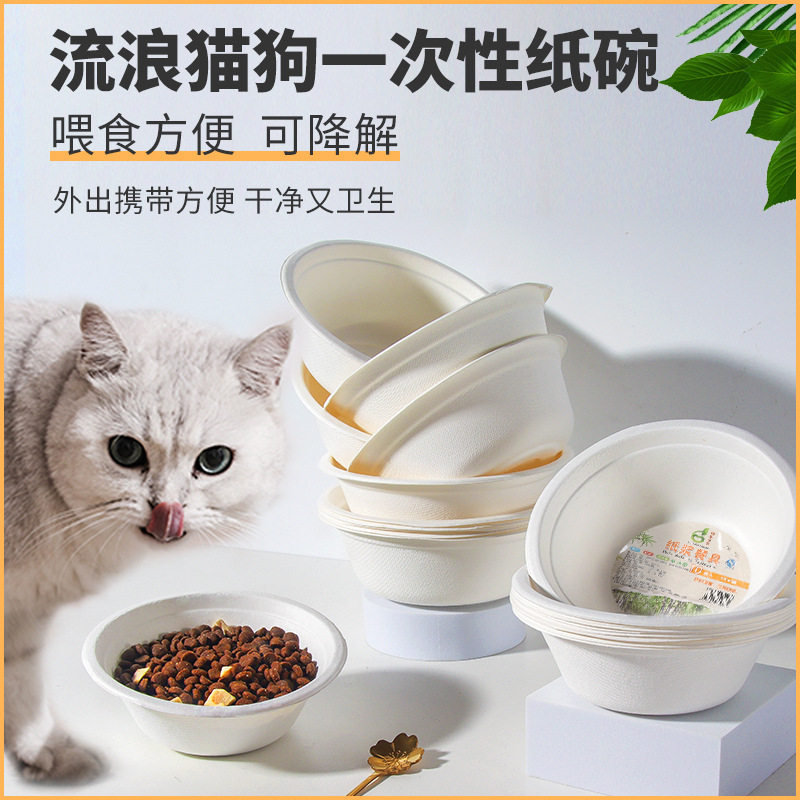 流浪猫一次性纸碗一次性猫碗图片