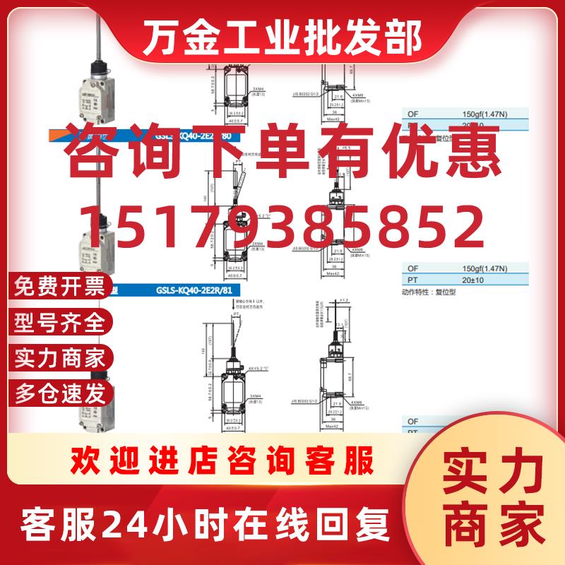 议价供应全新行程开关GSLS-KQ40-2E2R/54  GSLS-KQ40-2E2R/55