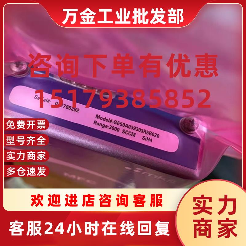 议价MKS 3升硅烷流量计3000sccm GE50A039303R5B020议价