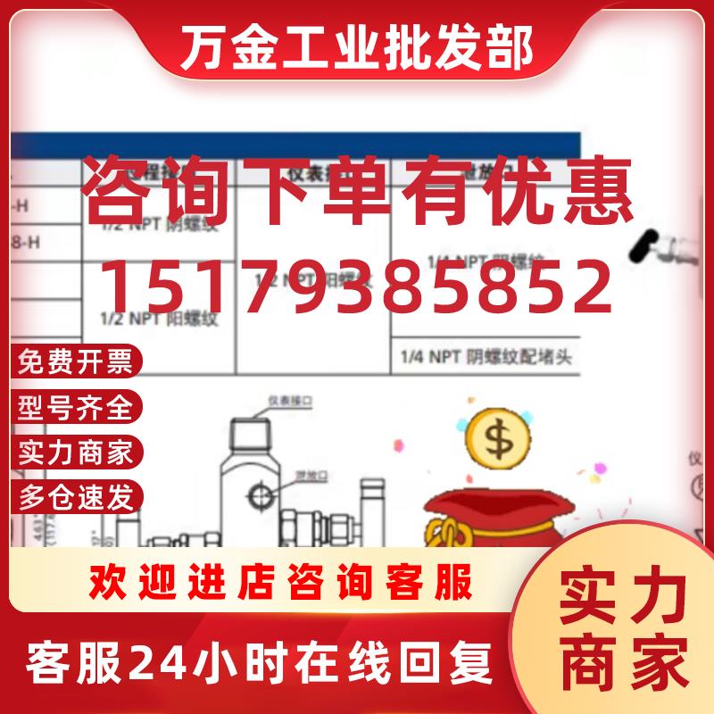 议价二阀组2RS4-NS8-FNS8-H 304 不锈钢飞托克2R系列仪表二