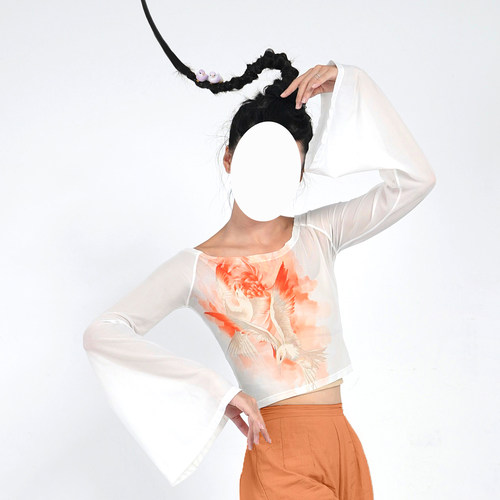 羁鸟恋旧林无艺之艺一朵大左古典舞付练功服常服一字肩纱衣上衣