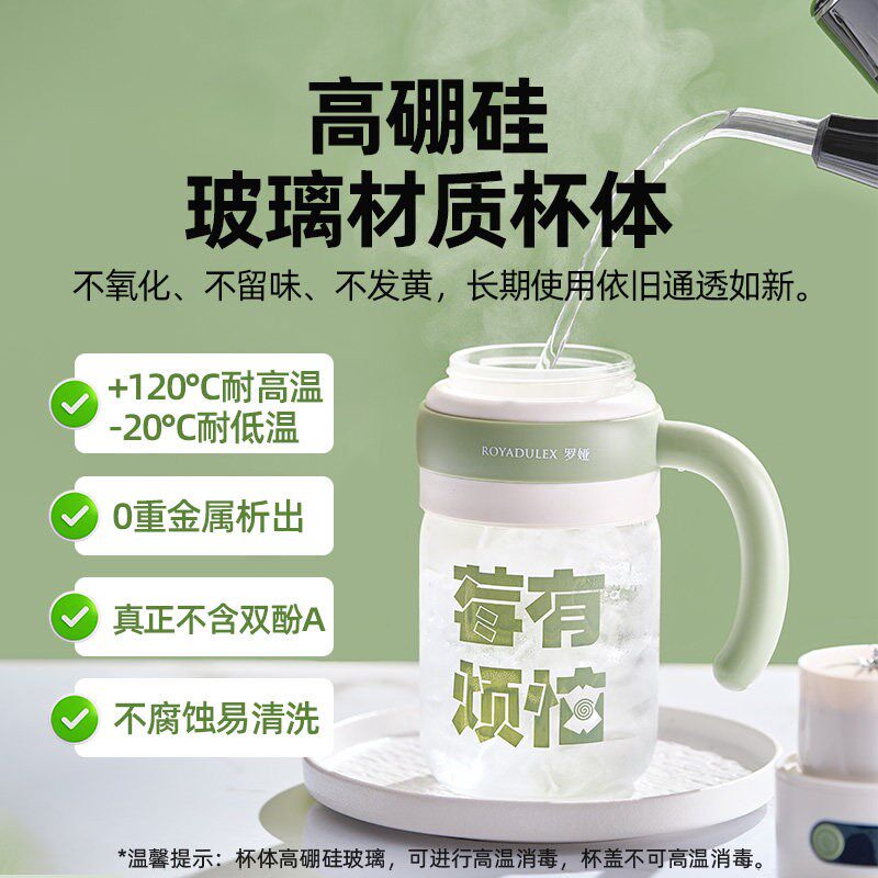 罗娅玻璃榨汁机小型料理机炸汁家用冰沙杯水果电动榨汁杯炸果汁机