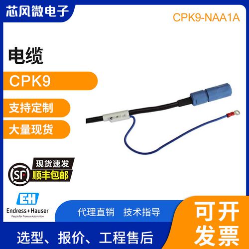 E+H pH/ORP电极 电缆 CPK9-NAA1A /NAA1B /NAZ3A /NBA1A /NHA1A