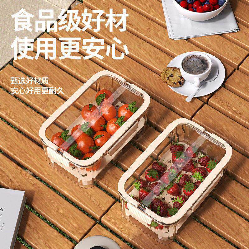户外手提保鲜盒野餐露营水果饮料密封盒外带便携大容量食物收纳盒