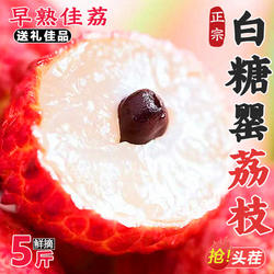 【空运到家】广东白糖罂荔枝新鲜果新鲜水果现摘当季孕妇包邮