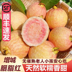 胭脂红芭乐粉红心番石榴鸡屎果软糯奶油芭乐当季水果新鲜整箱包邮