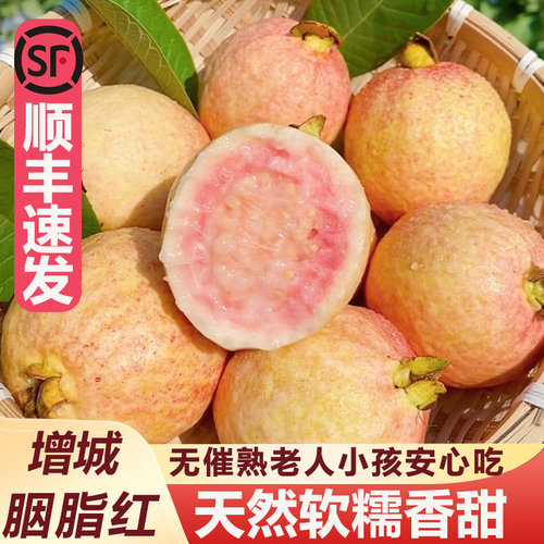 胭脂红软糯奶油口感芭乐果