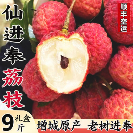 【现货】仙进奉荔枝皇后新鲜当季荔枝水果现摘现发顺丰空运包邮