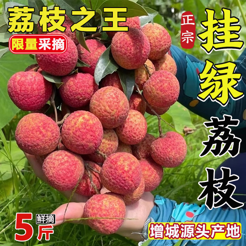 正宗挂绿荔枝增城原产地现摘高端精品礼盒顺丰空运包邮