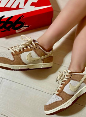 NIKE/耐克系带男子休闲板鞋