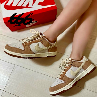 NIKE/耐克系带男子休闲板鞋