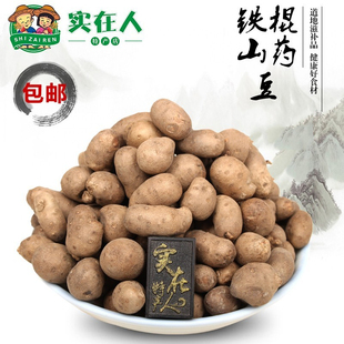 大号垆土山药豆2025年新鲜铁棍山药蛋河南焦作温县怀淮山药零余子