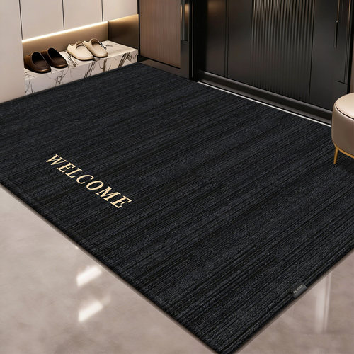 X入户门地垫入户门垫进门地毯2026新款高级感入门脚垫室内客厅垫