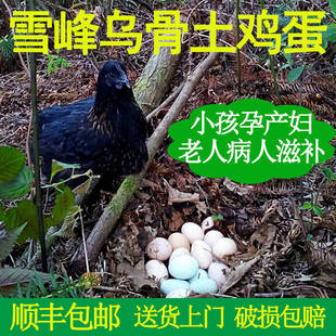 湖南土鸡蛋乌鸡蛋绿壳蛋乌鸡蛋散养新鲜农家土鸡蛋20个 包邮