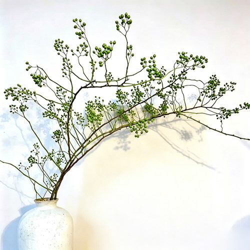 绿色山归来鲜切枝蔷薇果水培植物家用插花中式禅意花宅寂风线条枝