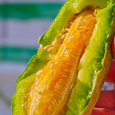 云南高糖爆脆蜜香瓜蜜源72号4斤