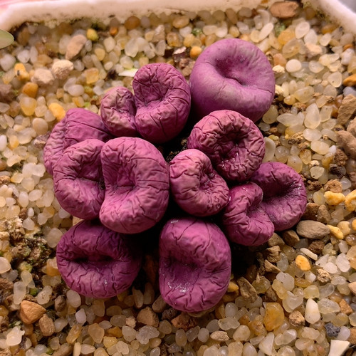 1968