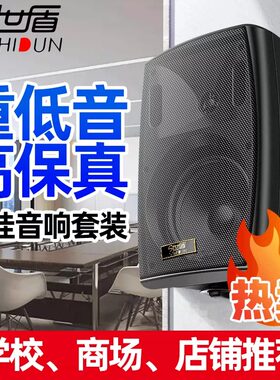 今世盾壁挂分区独立调节重低音