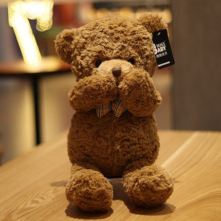 可爱克莱尔泰迪熊毛绒玩具抱抱熊公仔小熊布娃娃女生儿童生日礼物