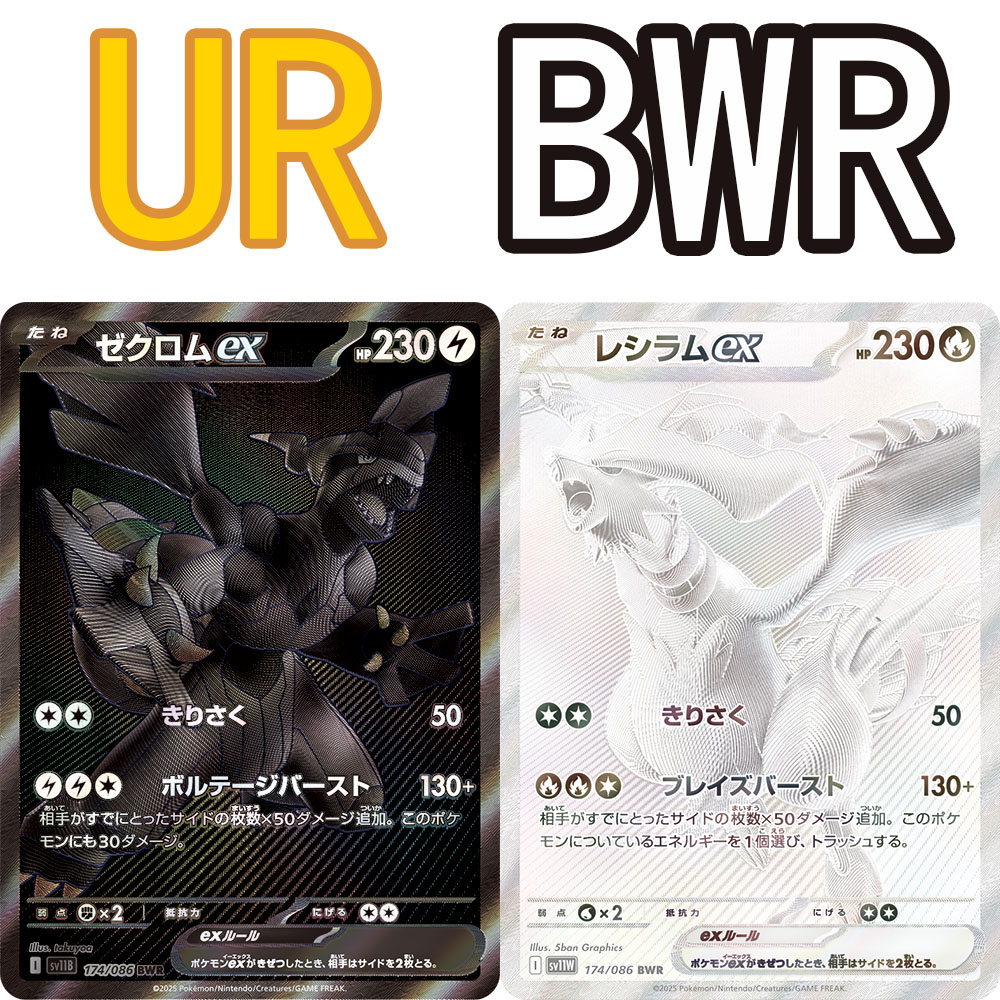 宝可梦卡牌 PTCG 日文 I 奇树 N 凤王 竹兰 超梦ex BWR  UR