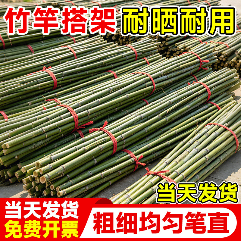 竹竿菜园搭架黄瓜豆角番茄架图片
