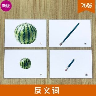 新版反义词 儿童语言早教 自闭症发育迟缓ABA认知康复训练教具卡